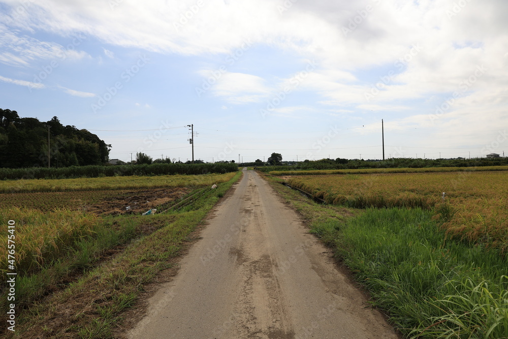 田舎町