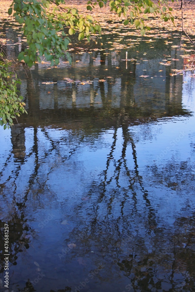 reflections in the water