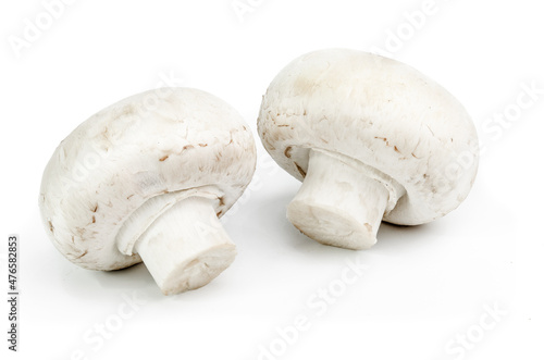 Two agaricus mushrooms isolated on a white background