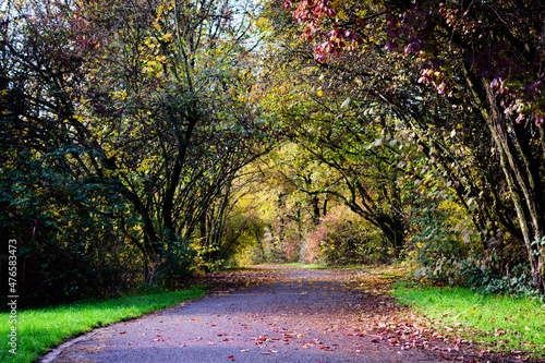foot path in the park