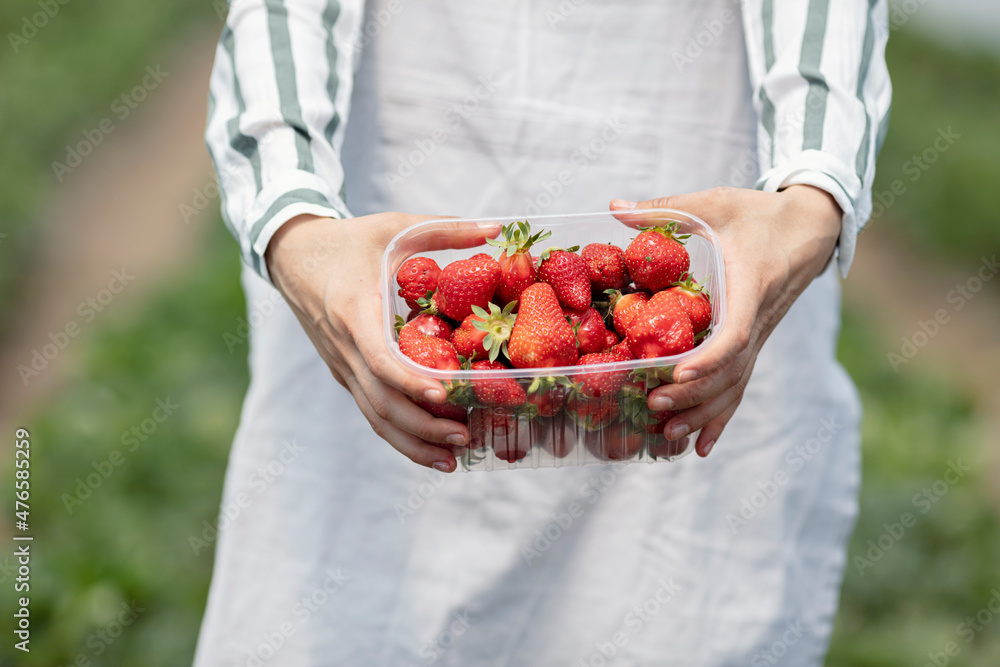 Cropped view of woman holding wicker bowl with strawberries Cropped view of woman holding wicker bowl with strawberries