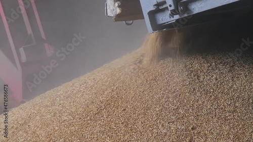 loading grain into warehouses using a loader