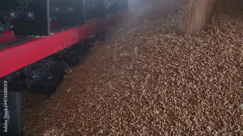 loading grain into warehouses using a loader