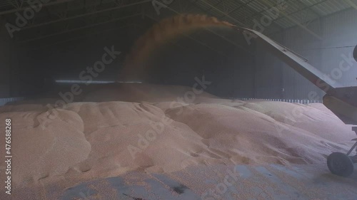 loading grain into warehouses using a loader
