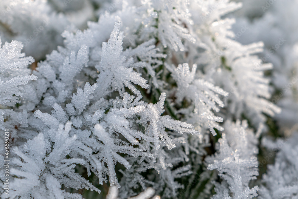 Frozen rime on the grass, with the beautiful ice crystals in the winter landscape of the Netherlands in the month of December Frozen rime on the grass, with the beautiful ice crystals in the winter landscape of the Netherlands in the month of December