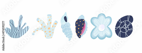 Set of hand drawn seashells. Elements of ocean wildlife with texture. Modern vector illustration isolated on white background.