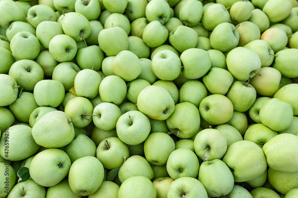 Natural texture, background or wallpaper. Big harvest of season, apples for production and industry Natural texture, background or wallpaper. Big harvest of season, apples for production and industry