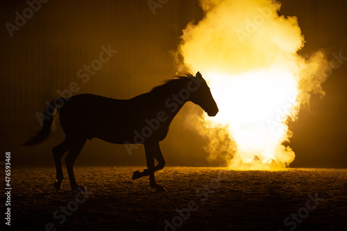 Silhouette of a trotting big Horse in a orange smokey atmosphere. A bright lamp lights the smoke behind the horse