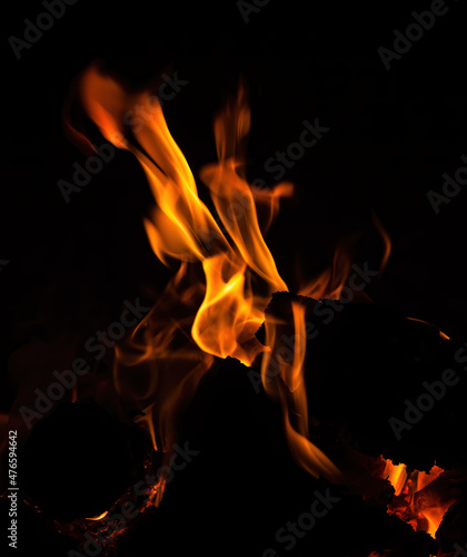 Fireplace with wood and fire flames