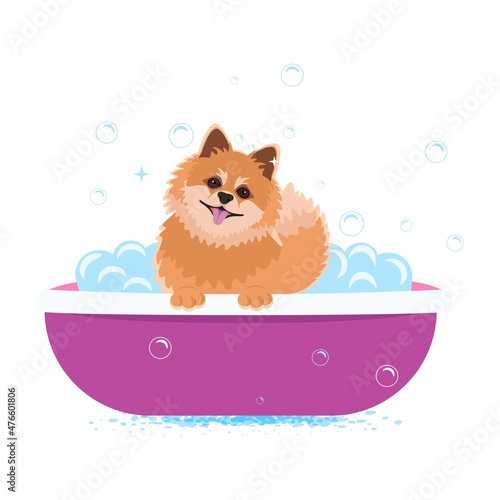 Cute dog splashing around in a bubble bath with foam and soap bubbles. Vector illustration of pet grooming for web design, sticker, banner, website, graphics and greeting card