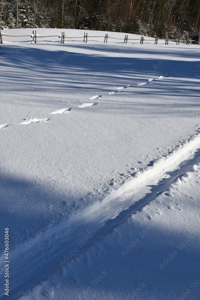 Tracks in the snow, Sainte-Apolline, Québec,Canada