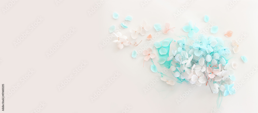 Creative image of pastel blue and pink Hydrangea flowers on artistic ink background. Top view with copy space Creative image of pastel blue and pink Hydrangea flowers on artistic ink background. Top view with copy space