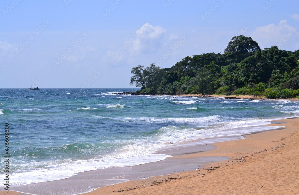 Seascape with beach and forested coastline in sunny weather