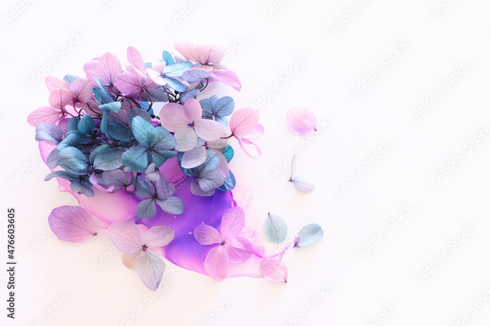 Fototapeta premium Creative image of pink and turquoise Hydrangea flowers on artistic ink background. Top view with copy space