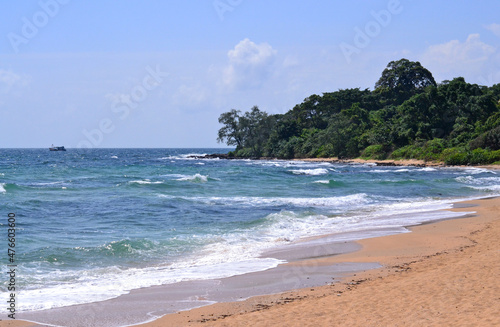 Seascape with beach and forested coastline in sunny weather