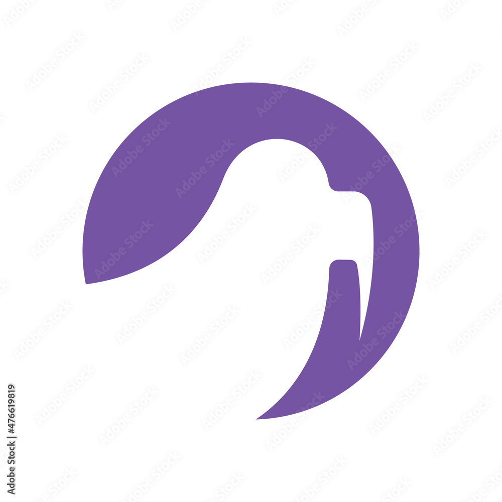 Walrus Animal Logo Icon Symbol Vector Graphic Design Walrus Animal Logo Icon Symbol Vector Graphic Design