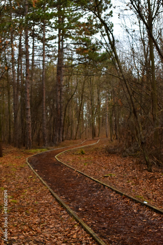 A trail used for recreation people,brisk walking and running