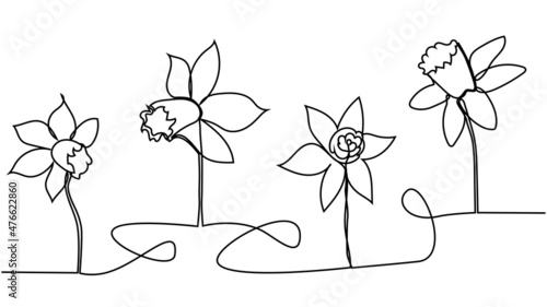 One single line drawing of beauty fresh narcissus for garden logo. Printable decorative daffodil flower