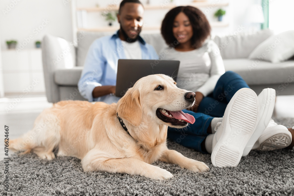 Black couple using laptop sitting on floor with dog