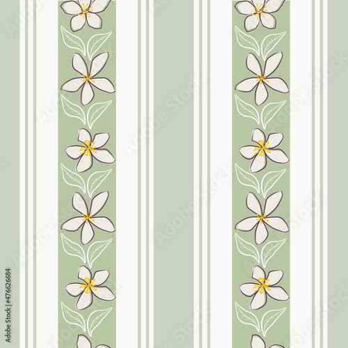 Jasmine flower and regent stripe vector seamless pattern background. Line art hand drawn flowers on parallel vertical thin and wide stripes. Sage green white floral botanical regency design repeat