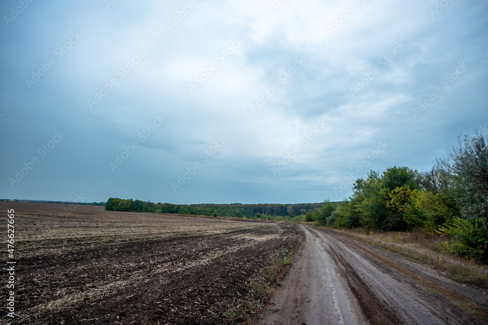 road in a field road in a field