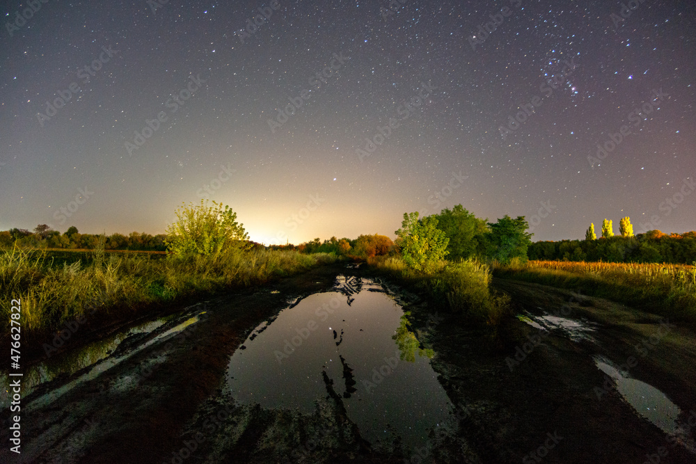 night landscape forest in the night . Night landscape. Nightsky and clouds . Stars in the sky . night landscape forest in the night . Night landscape. Nightsky and clouds . Stars in the sky .