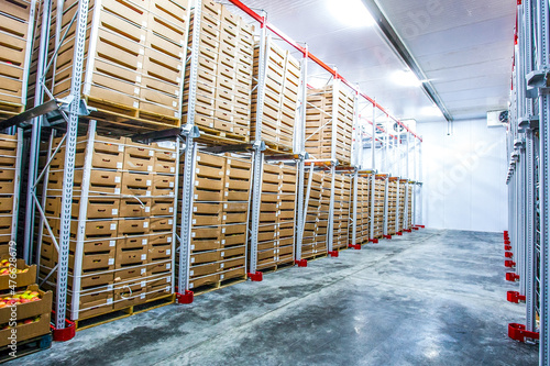 Factory warehouse stock boxes with fruits and vegetables. photo