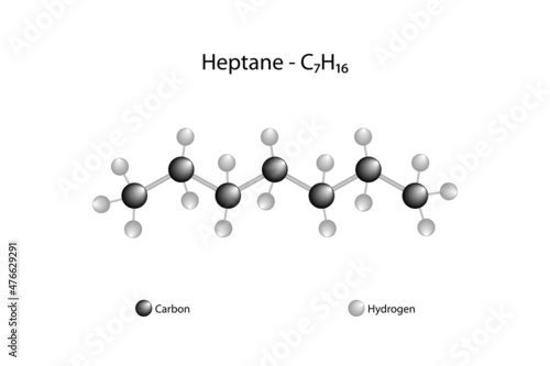Molecular formula of heptane. Heptane is a saturated hydrocarbon belonging to the class of alkanes. photo