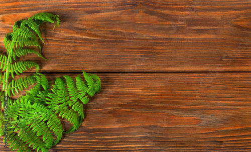 Fresh green fern leaves on a wooden background. Top view. Copy space.