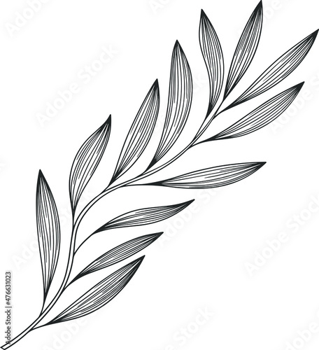 Illustration of abstract leaf. Line vector art