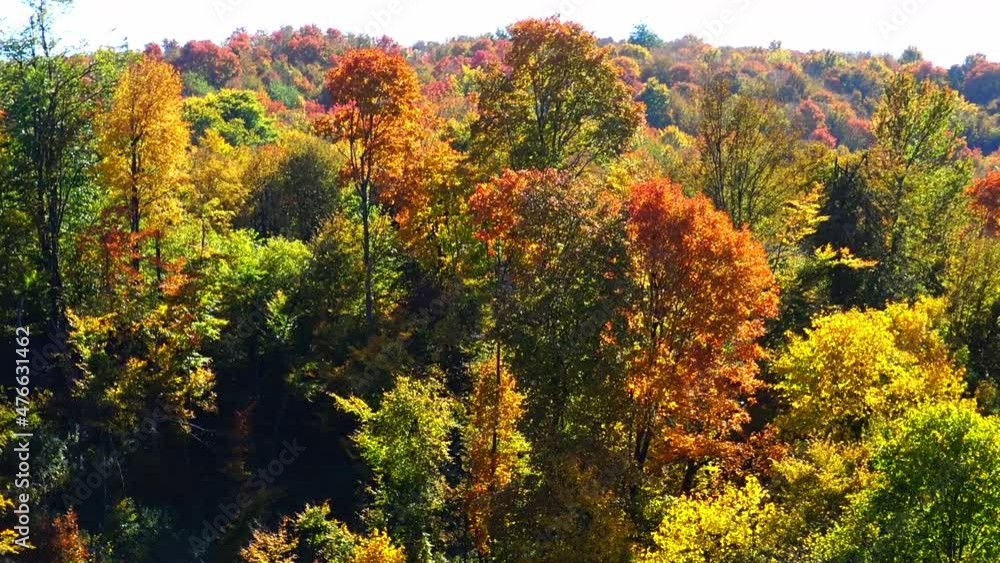 View to the tree leaves and landscape covered with autumn colors during sunny autumn day. View to the tree leaves and landscape covered with autumn colors during sunny autumn day.