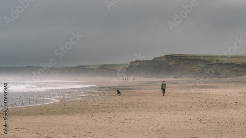 Person walking dog on beach