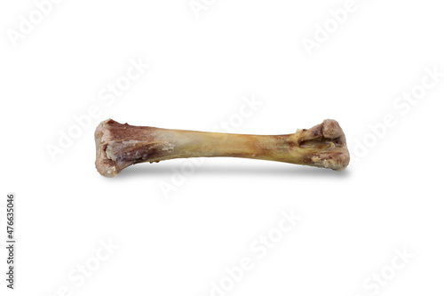 eaten bone of chicken leg, no meat, isolated on white background