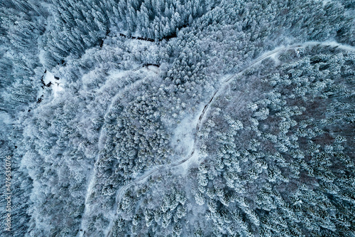 Aerial view of coniferous forest covered with shiny snow in the middle of winter. Top view on snow-covered old spruce forest.