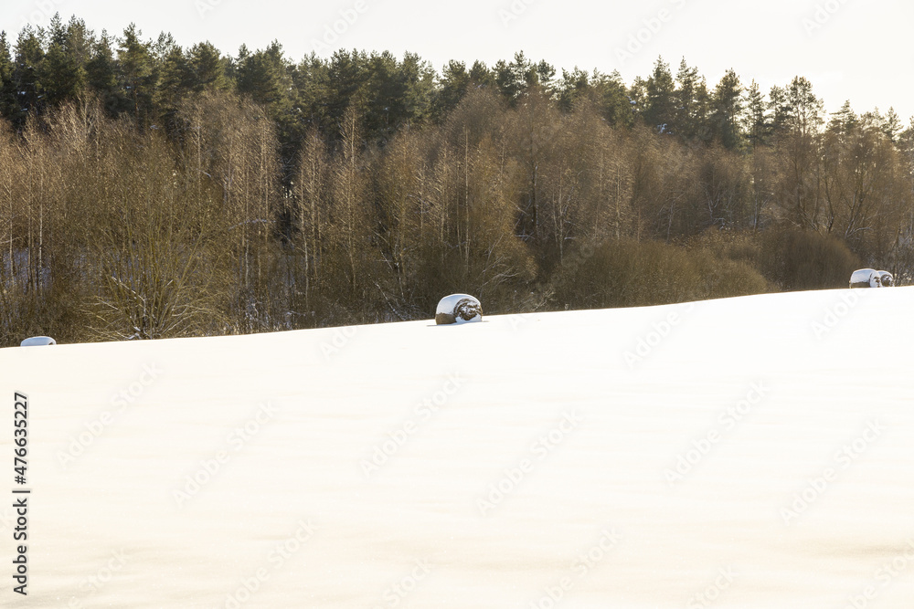 Winter landscape with a lonely straw roll covered with snow in snowy field and with forest in a background