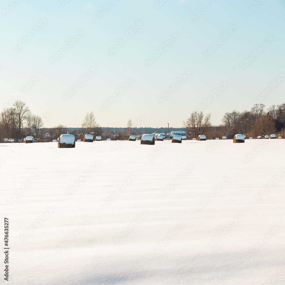 Fototapeta premium Winter landscape with snowy meadow with some straw rolls and blue sky in background