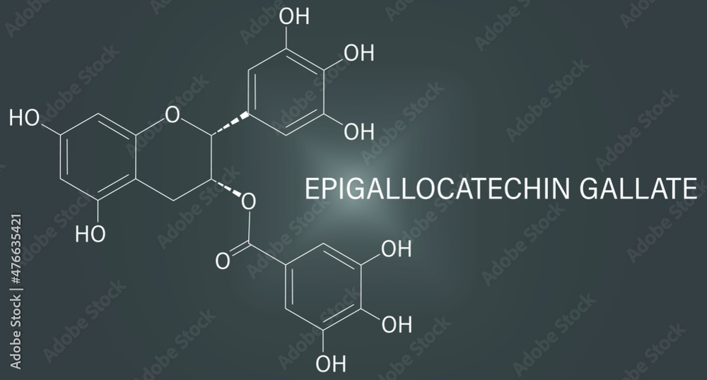 Vektorová grafika „Epigallocatechin gallate or EGCG green tea ...