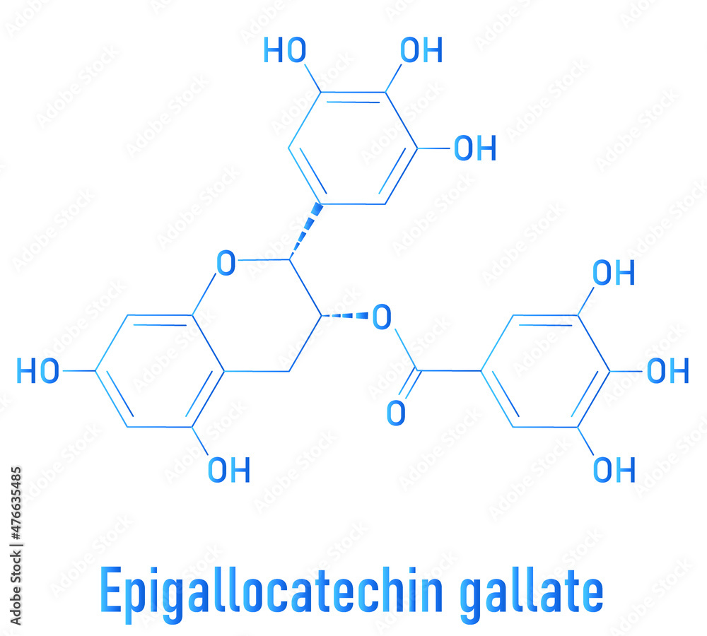 Epigallocatechin gallate or EGCG green tea polyphenol molecule. Has