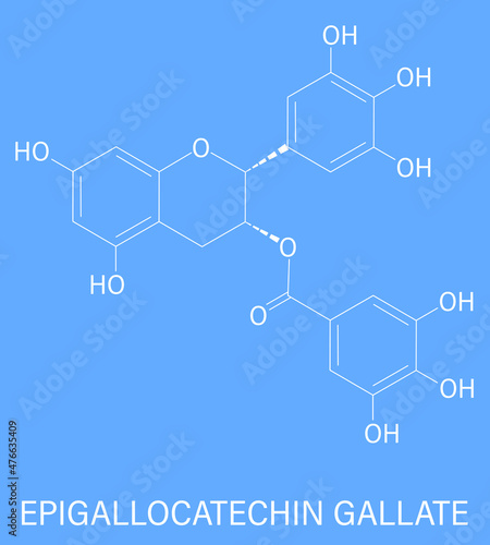 Epigallocatechin gallate or EGCG green tea polyphenol molecule. Has antioxidant properties and may contribute to health effects of tea. Skeletal formula.
