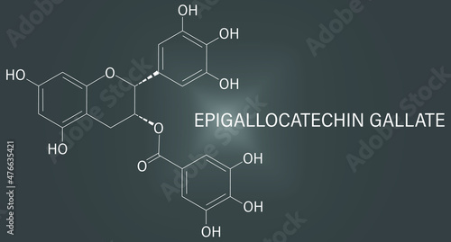 Epigallocatechin gallate or EGCG green tea polyphenol molecule. Has antioxidant properties and may contribute to health effects of tea. Skeletal formula.