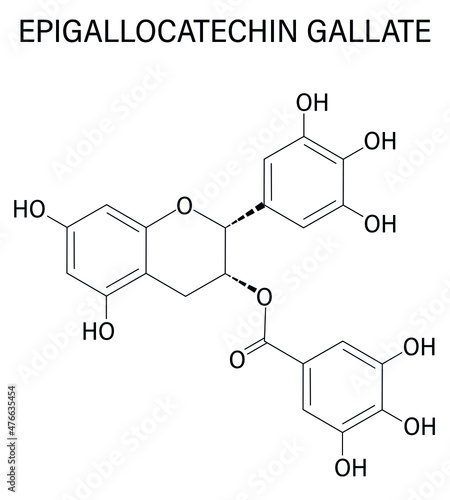 Epigallocatechin gallate or EGCG green tea polyphenol molecule. Has antioxidant properties and may contribute to health effects of tea. Skeletal formula.