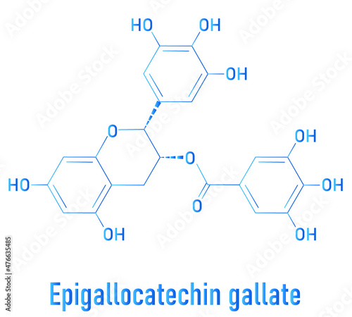 Epigallocatechin gallate or EGCG green tea polyphenol molecule. Has antioxidant properties and may contribute to health effects of tea. Skeletal formula.