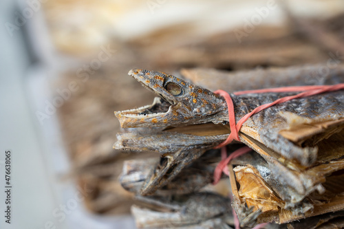 Photography Dried gecko selling for medical purposes in chinese pharmacy