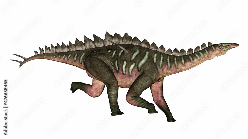 Miragaia dinosaur running head up - 3D render Miragaia dinosaur running head up - 3D render