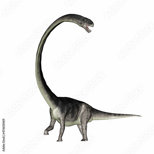 Omeisaurus dinosaur roaring with its long neck - 3D render