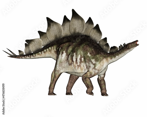 Stegosaurus dinosaur standing and roaring - 3D render