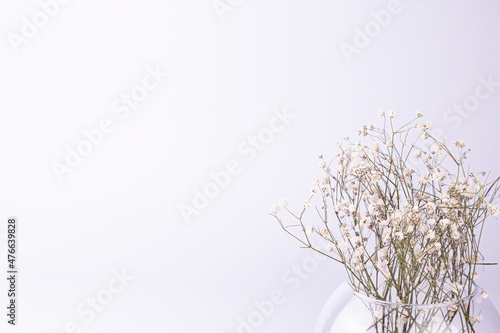 Beautiful white flower Gypsophila in glass vase on light background.