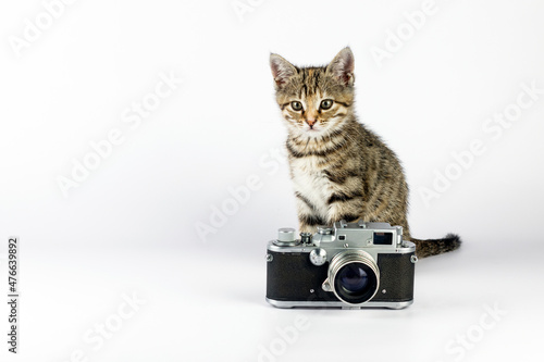 Little cute kitten with vintage photo camera on white background.