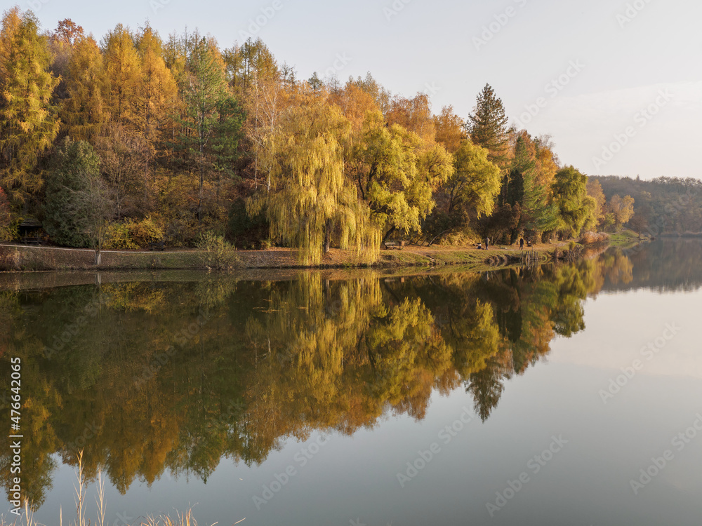 Reflection of autumn trees in the water of the Lake Malomvölgy