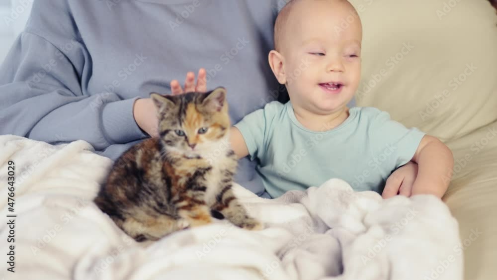 little baby infant kid afraid to touch kitten for the first time